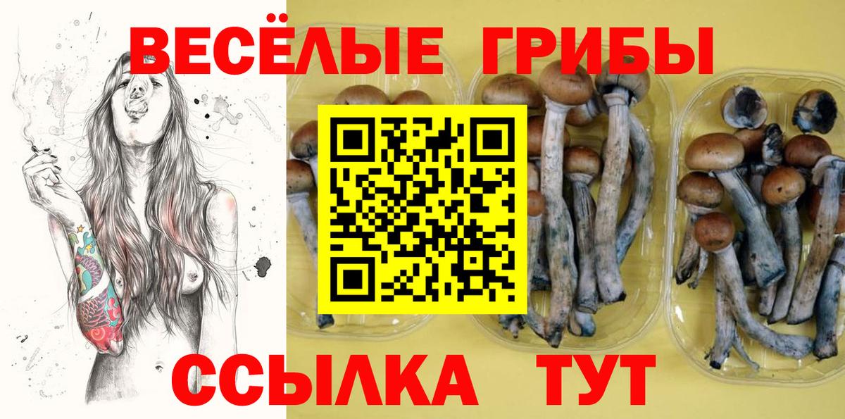 Псилоцибиновые грибы мухоморы  где продают   Котовск  Вход с VPN 