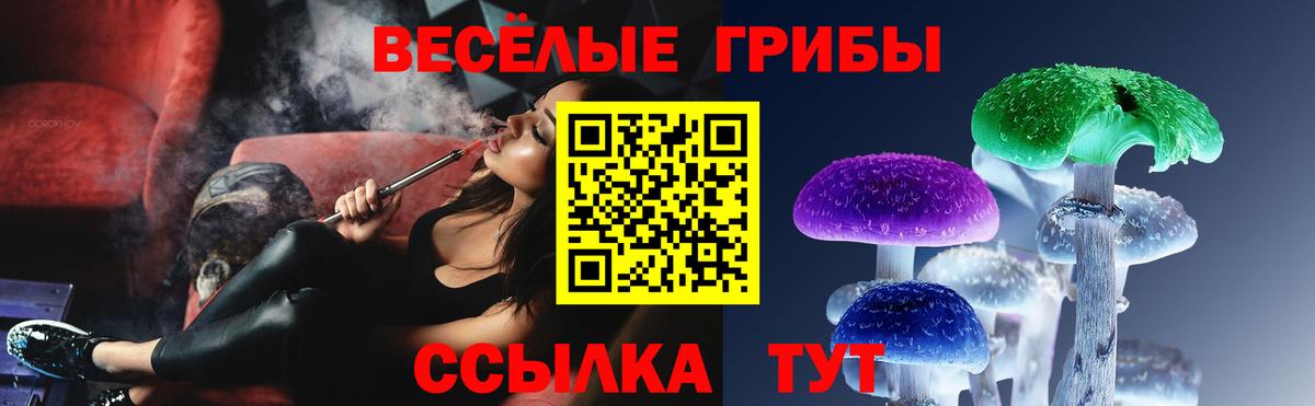 Псилоцибиновые грибы прущие грибы Котовск